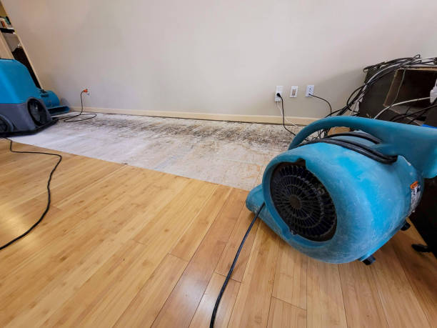 Professional Flood Damage Cleanup technician working in Onekama, MI